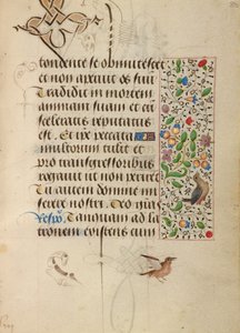 Pagina di testo decorata da Unknown artist