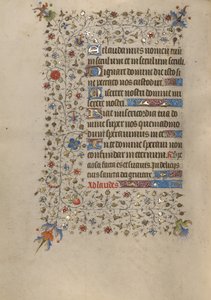 Pagina di testo decorata da Unknown artist