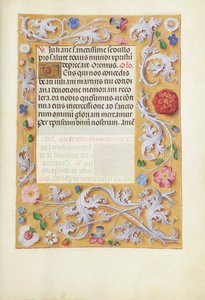 Pagina di testo decorata
