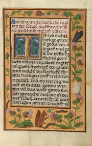 Pagina di testo decorata da Unknown artist