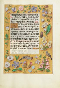 Pagina di testo decorata da Unknown artist