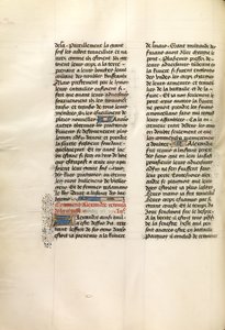 Pagina di testo decorata da Unknown artist