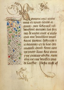 Pagina di testo decorata