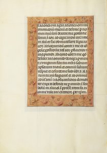 Pagina di testo decorata