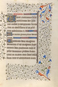 Pagina di testo decorata