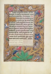 Pagina di testo decorata da Unknown artist