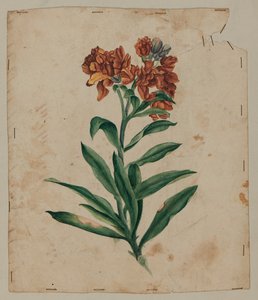 Disegno di design, inizio XVIII secolo