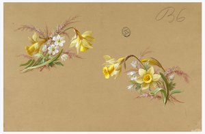 Disegno per carta da parati e tessuti: Fiori da Unknown artist