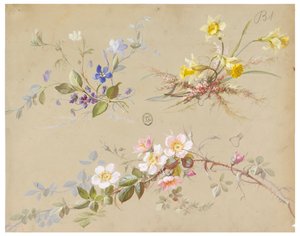 Disegno per Carta da Parati e Tessuti: Fiori da Unknown artist