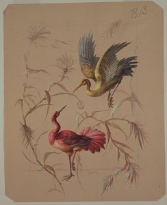 Disegno per carta da parati e tessuti: Fiori e uccelli da Unknown artist