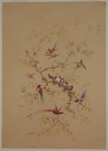 Design per carta da parati e tessuti: Fiori e uccelli