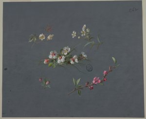 Progetto per Carta da Parati e Tessuti: Fiori