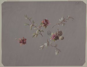 Design per carta da parati e tessuti: Fiori