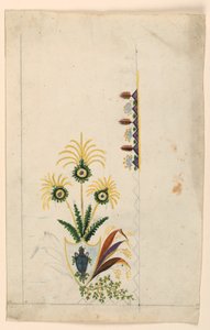 Progetto per un panciotto da Unknown artist