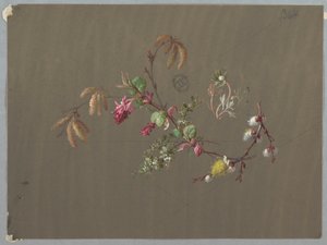 Progetti per carta da parati e tessuti: Fiori da Unknown artist