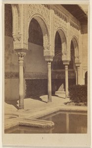 [Particolare delle colonne, con parte della vasca riflettente visibile, l