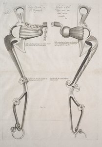Diagramma per il morso del cavallo da Unknown artist