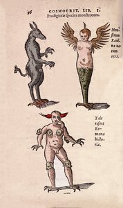 Mostri e creature fantastiche di Cracovia e Ravenna Piatto tratto da 