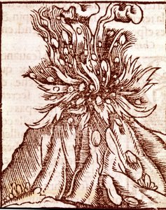 Eruzione di un vulcano. Incisione del XVI secolo.