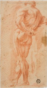 Ercole Farnese da Unknown artist