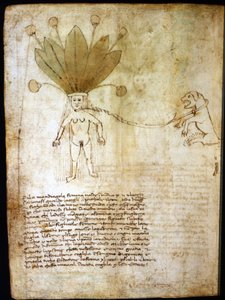 Mandragora femmina, estratta da un