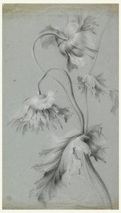 Design floreale da Unknown artist