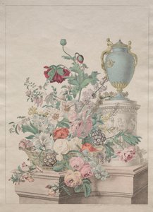 Flore Pittoresque ou Recueil de Fruits et de Fleurs da Unknown artist