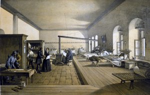 Florence Nightingale (1820 - 1910) all