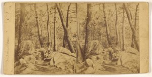 [Fontainebleau] da Unknown artist