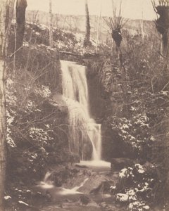 [Scena di foresta con cascata e ruscello]