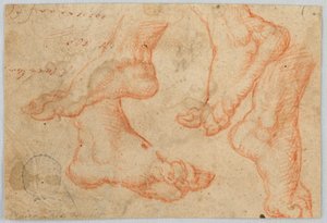 Quattro studi di un piede da Unknown artist