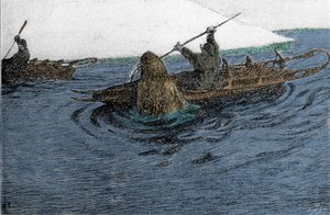 Fridtjof Nansen (1861-1930), esploratore norvegese, attaccato da un tricheco durante la spedizione al Polo Nord nel 1896. Porta la slitta sul kayak. Incisione del XIX secolo da Unknown artist