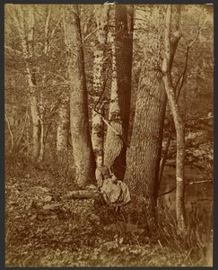 [Ragazza seduta tra gli alberi] da Unknown artist