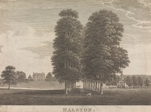 Halston; pagina 22 (Volume Due) da Unknown artist