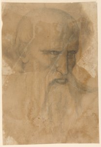 Testa di un uomo anziano con barba da Unknown artist