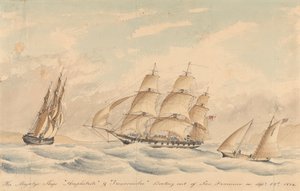 Le navi di Sua Maestà 
