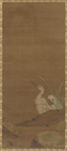 Aironi e piante acquatiche da Unknown artist