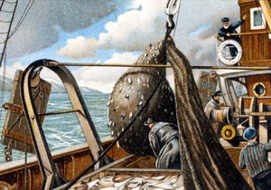 Pesca dell
