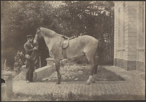 [Cavallo e uomo]