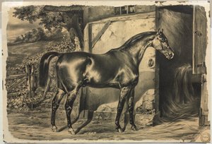 Cavallo davanti a un fienile (verso) da Unknown artist
