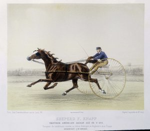 Equitazione: Shepherd F. Knapp, trottatore - in "il centauro"