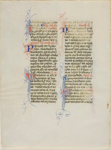 Foglio di manoscritto miniato da Unknown artist