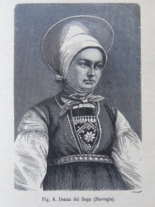 Illustrazione da "La razza umana" di Louis Figuier da Unknown artist