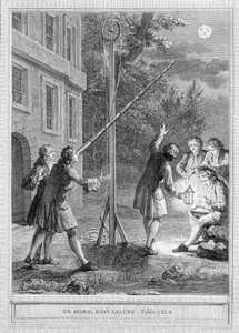 Illustrazione della favola 