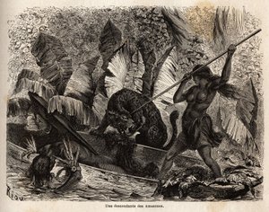 Indiano ticuna (Perù) che attacca con una lancia una tigre che è appena saltata nella sua canoa e ha ferito il suo compagno, i ticuna del fiume Nhamondas sono rinomati per le loro mogli guerriere, quindi i primi viaggiatori e studiosi che li hanno osservat da Unknown artist