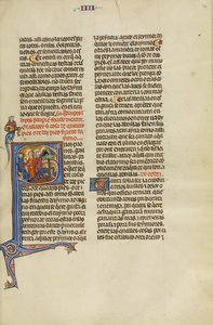 Iniziale S: Un giudice con due uomini che puntano due pavoni da Unknown artist