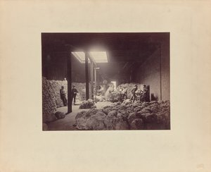 [Interno della casa di smistamento della lana, Walter Brown and Company].