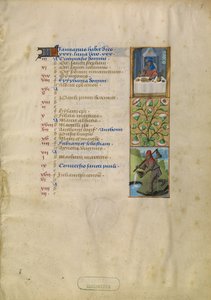Pagina del calendario di gennaio; Festa; Acquario da Unknown artist