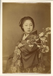 [Donna giapponese che tiene in mano un ramo di pruno in fiore].