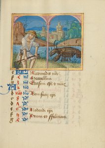 Pagina del calendario di giugno; Falciatura; Cancro da Unknown artist